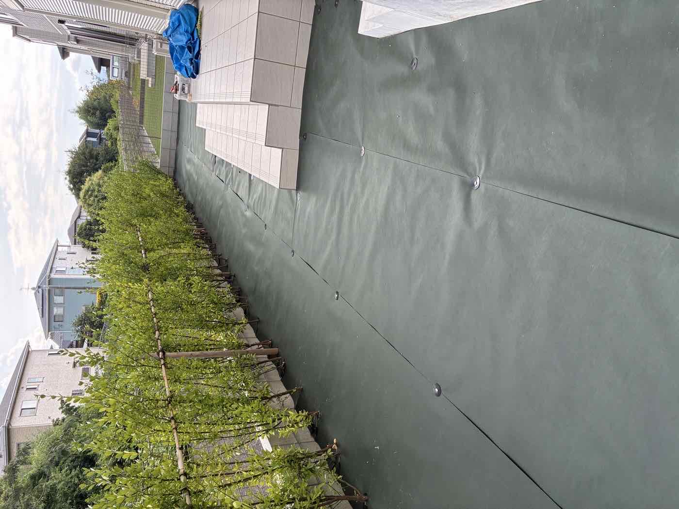 防草シートを施工し若い生垣が並ぶ庭